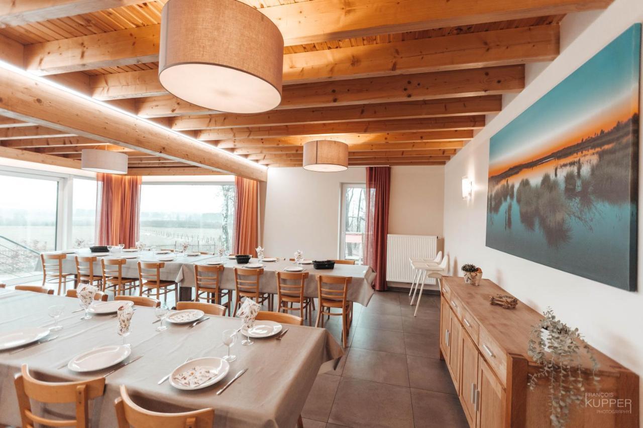 הוילה Le Loup Gris - 35 Pers - Vue-Wellness, Butgenbach-Malmedy מראה חיצוני תמונה